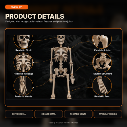 Poseable Halloween Skeleton Figures – Skeleton & Pumpkin-Head Styles