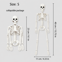 15.75inch Skeleton