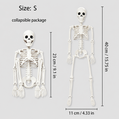 Poseable Halloween Skeleton Figures – Skeleton & Pumpkin-Head Styles