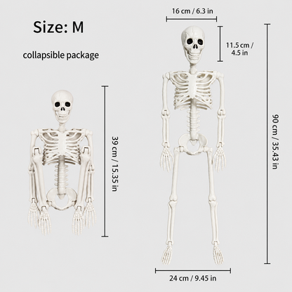 Poseable Halloween Skeleton Figures – Skeleton & Pumpkin-Head Styles