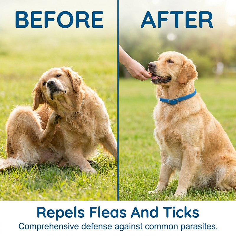Natural Essential Oil Flea & Tick Collar for Pets